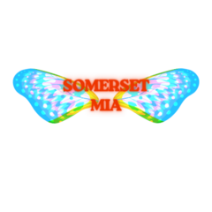 somersetmia.pt